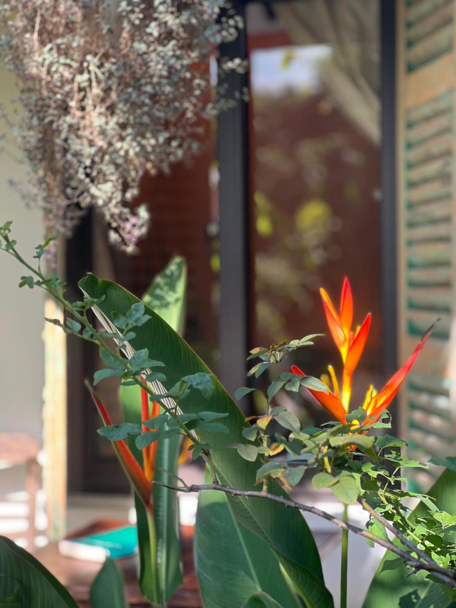 Thom'S House Hotel Ninh Binh Exterior foto