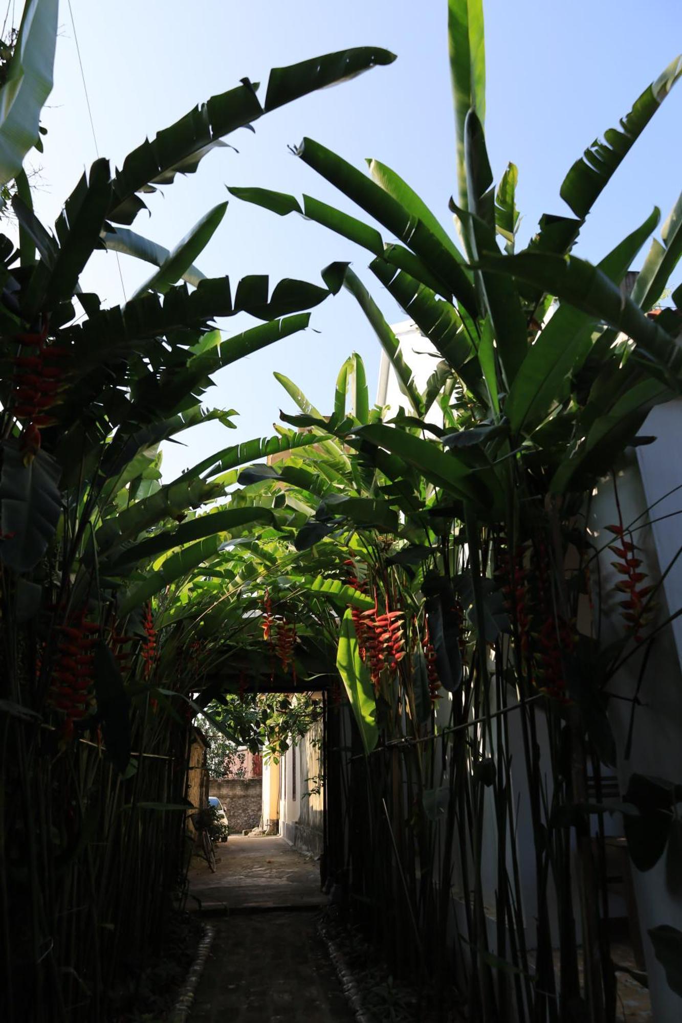 Thom'S House Hotel Ninh Binh Exterior foto