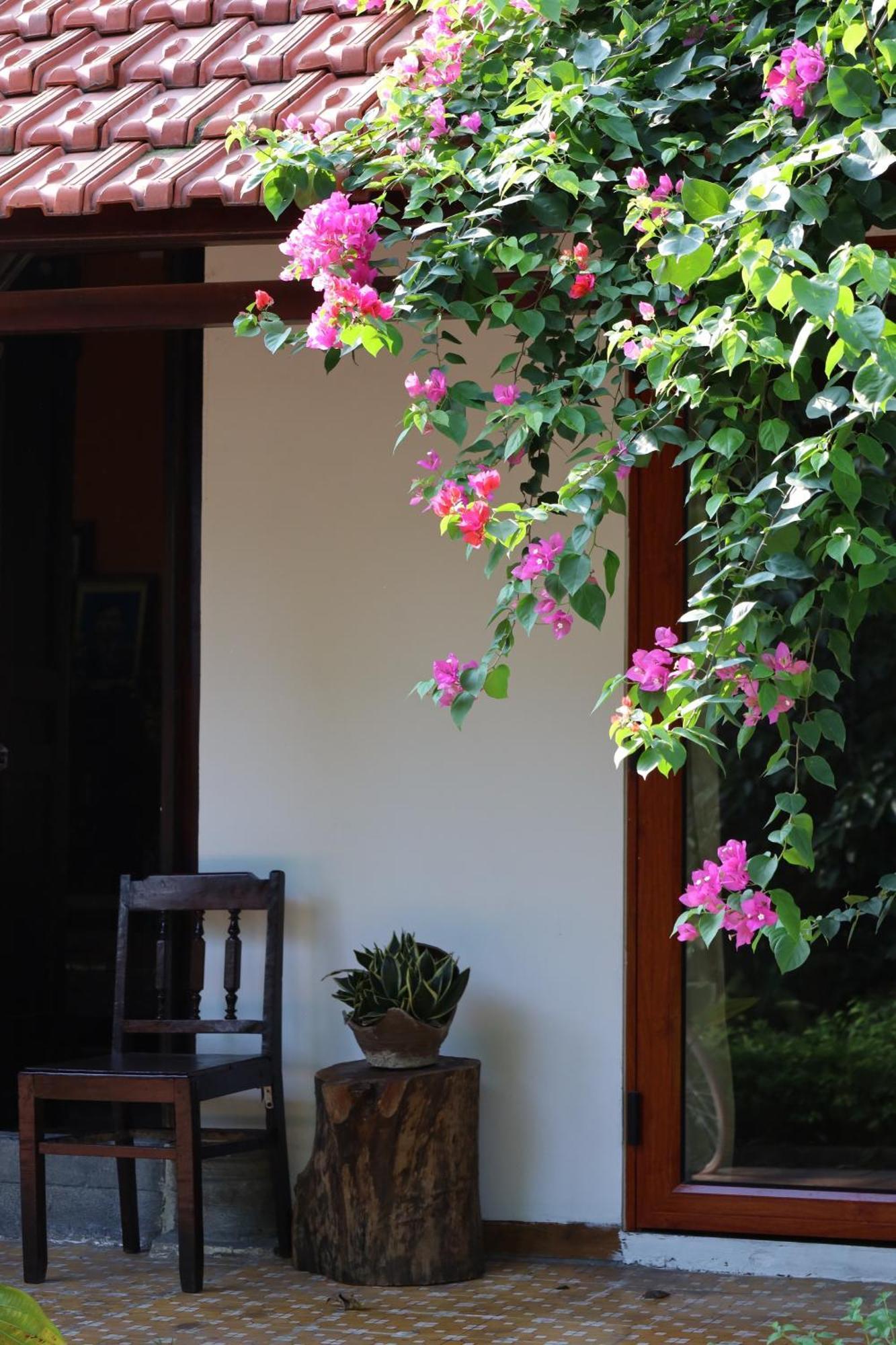 Thom'S House Hotel Ninh Binh Exterior foto